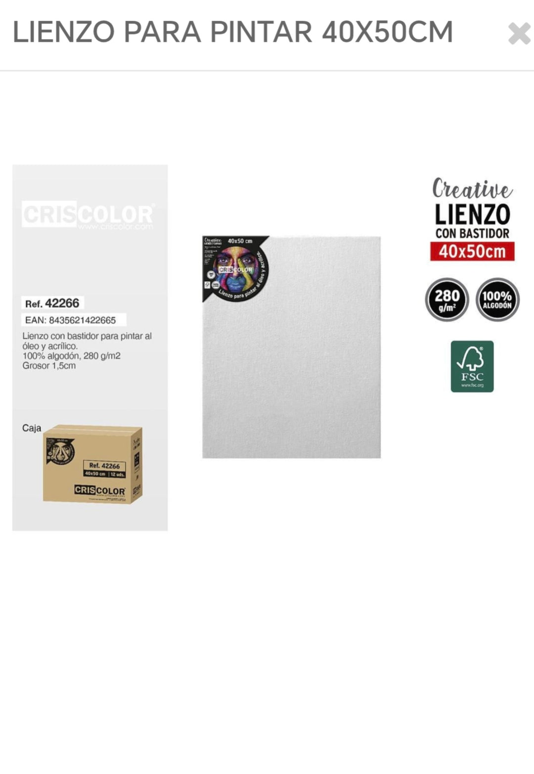 Lienzo para pintar 40*50cm